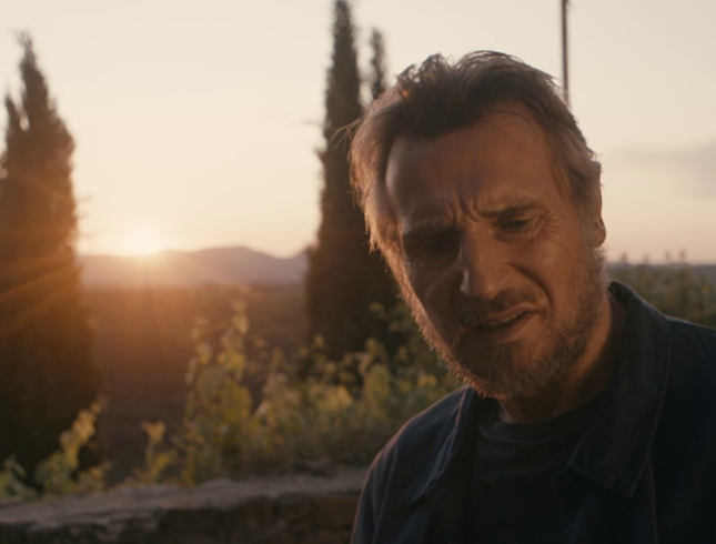 liam-neeson-made-in-italy-2